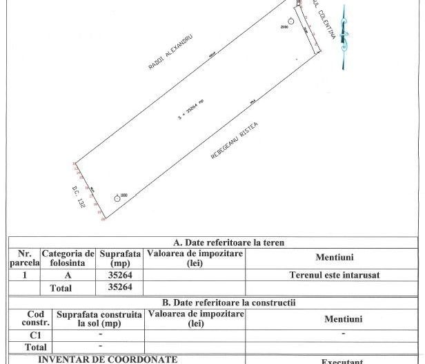 Teren pentru proiect de case in Buftea, cu deschidere la lacul Buciumeni - Poză 8