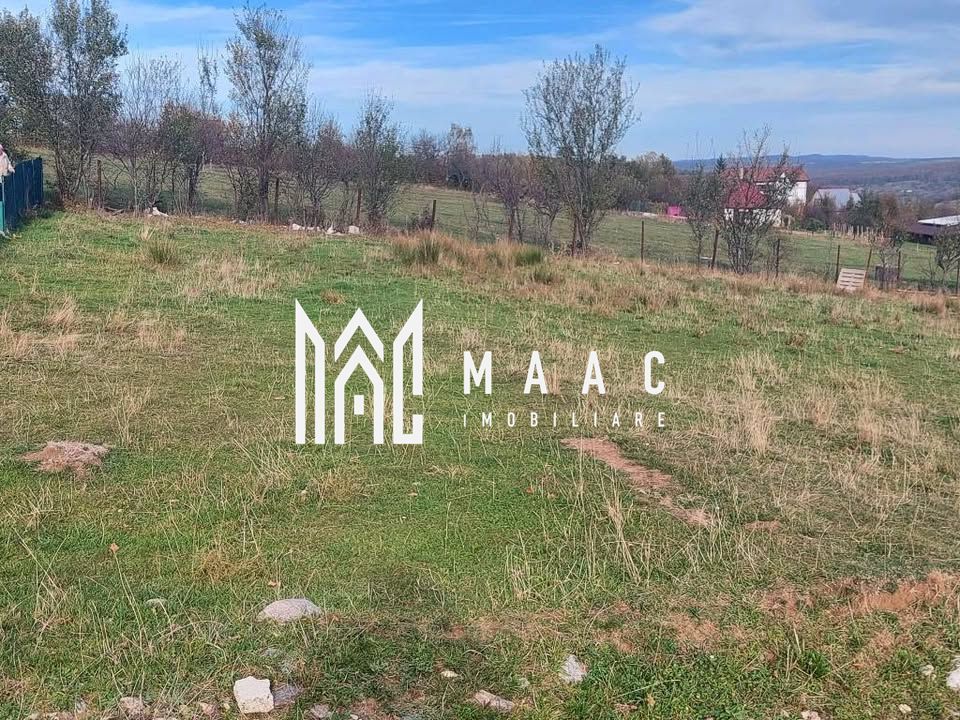 Teren intravilan I 1000 mp I  Tocile - Sadu - Poză 4