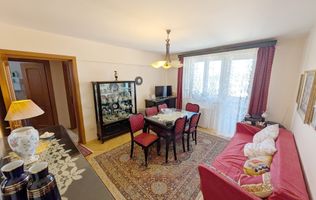 Vanzare Apartament Parcul Circului Stefan Ce Mare