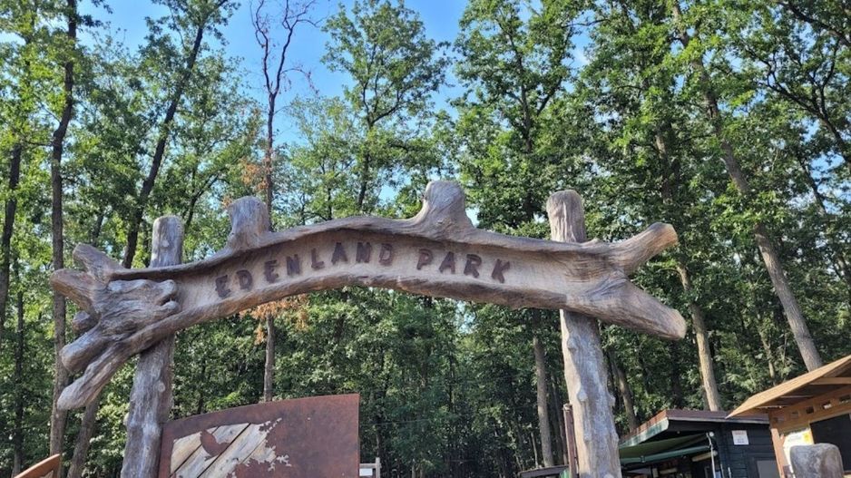 Inchiriere vila smart, pompa caldura, Moara Vlasiei, acces A3 - Poză 19