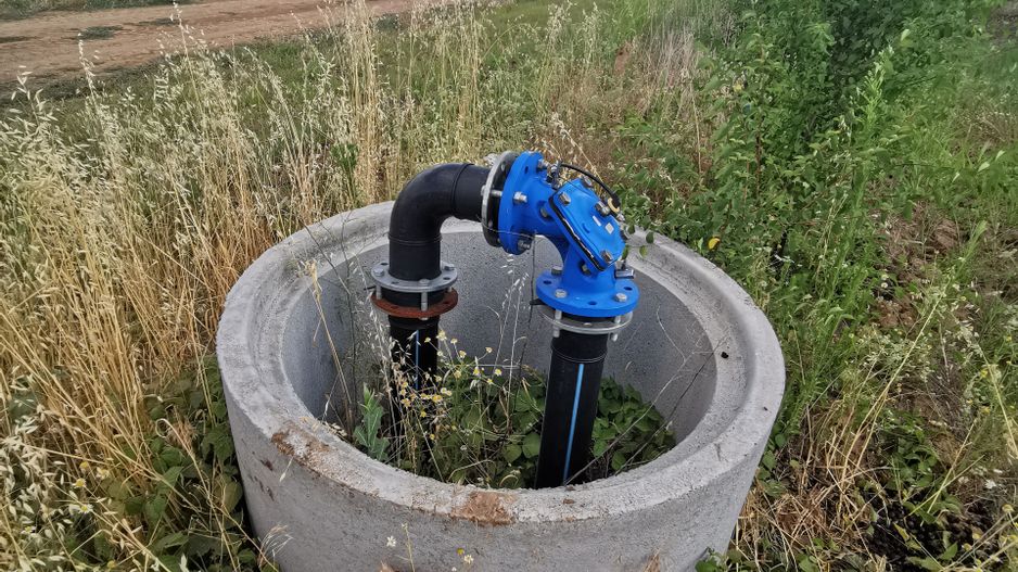 Ferma pomicola cu teren livada 270 ha - Timis - Poză 7