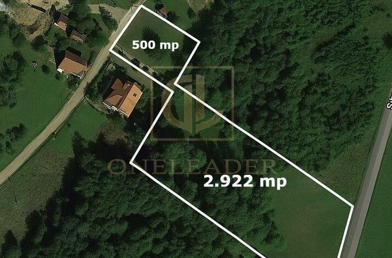 Teren 3349 mp de Vânzare | Bran – Panoramă Munții Bucegi - Poză 1