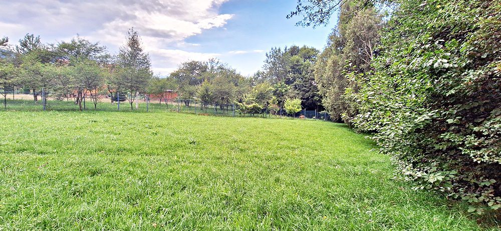 Bran Predelut teren intravilan de 2000mp, pret 27 euro/mp - Poză 3