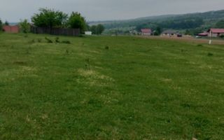 Teren intravilan 7.200 m2, Bordea, Grajduri, ideal case/ investitie - Poză 3