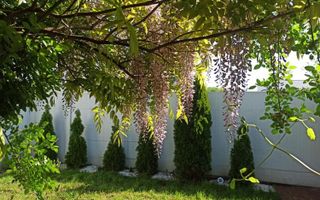 Casă 5 camere Corbeanca aproape de Mall, cu panouri solare, mobilată și utilată - Poză 13