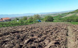 Teren de Vanzare - Gusterita - 5100mp - Intravilan - 0% Comision - Poză 1