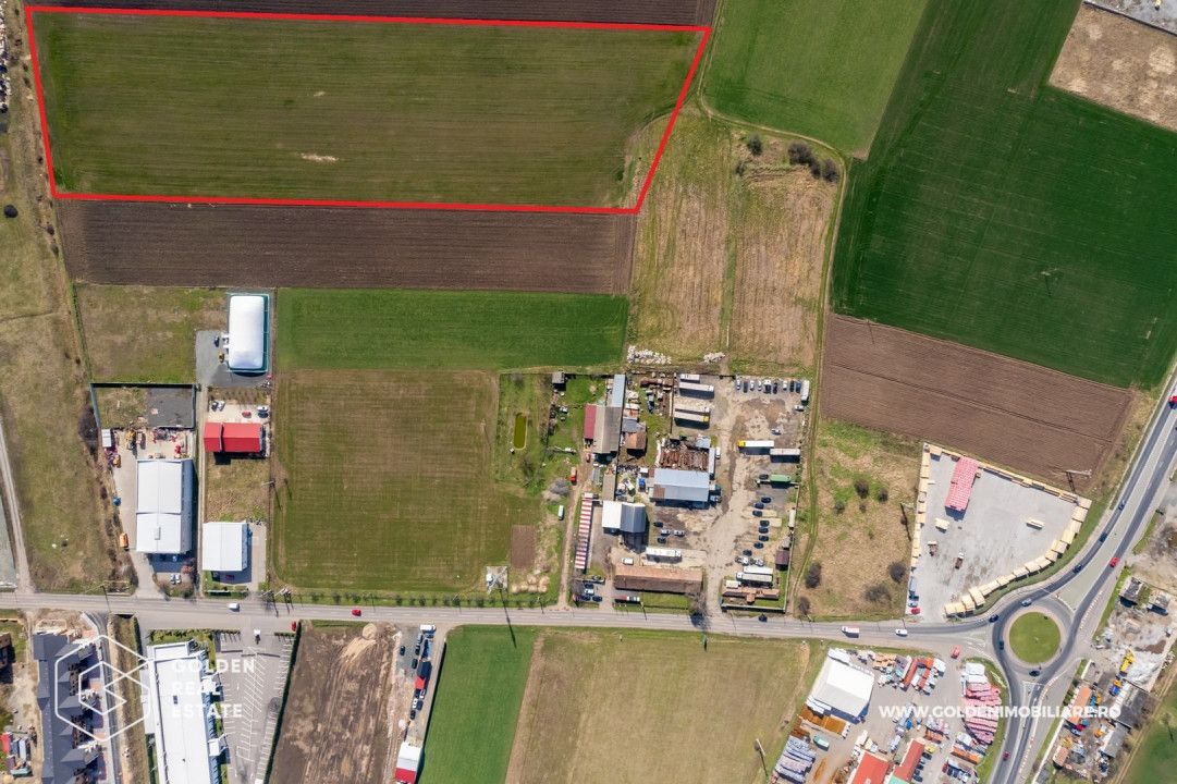 Teren extravilan, 20000 mp, Sanleani - Poză 3