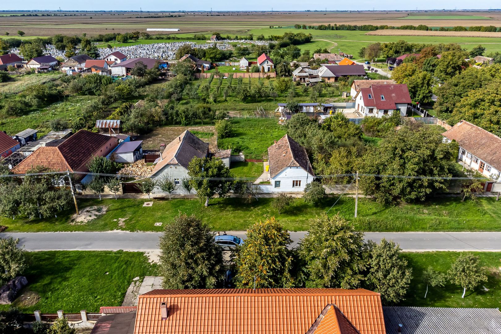 Casă cu grădină în Sântana - Poză 3