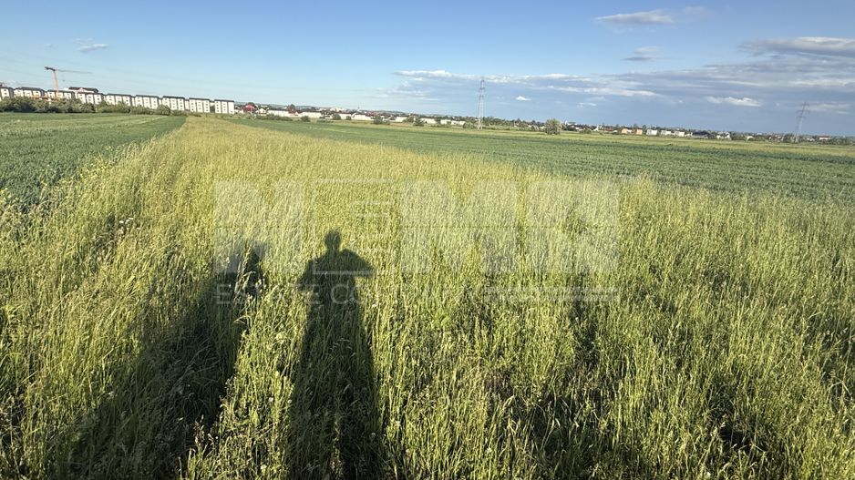 Teren extravilan de vânzare în zona Osoi – 2.650 mp | Front 10 m - Poză 4