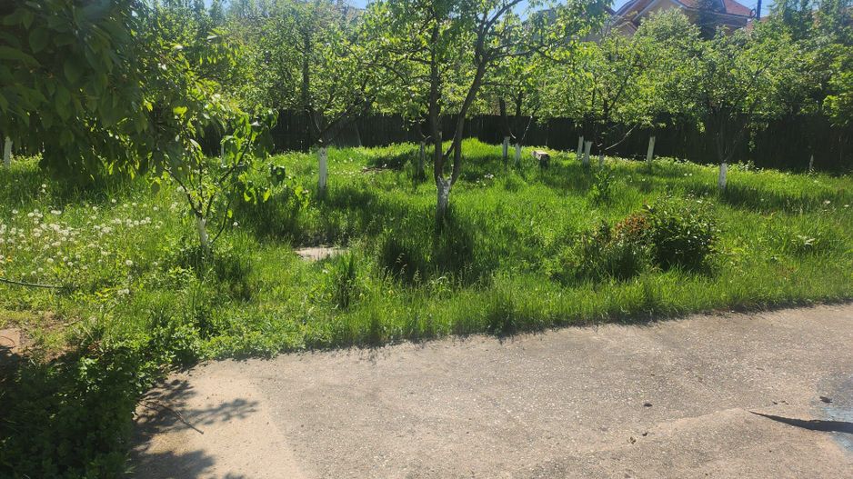 Casa de vanzare Trivale - Poză 3