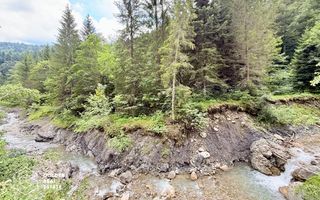 Vila de exceptie in Sinaia, mobilata, utilata, cu vedere superba - Poză 31