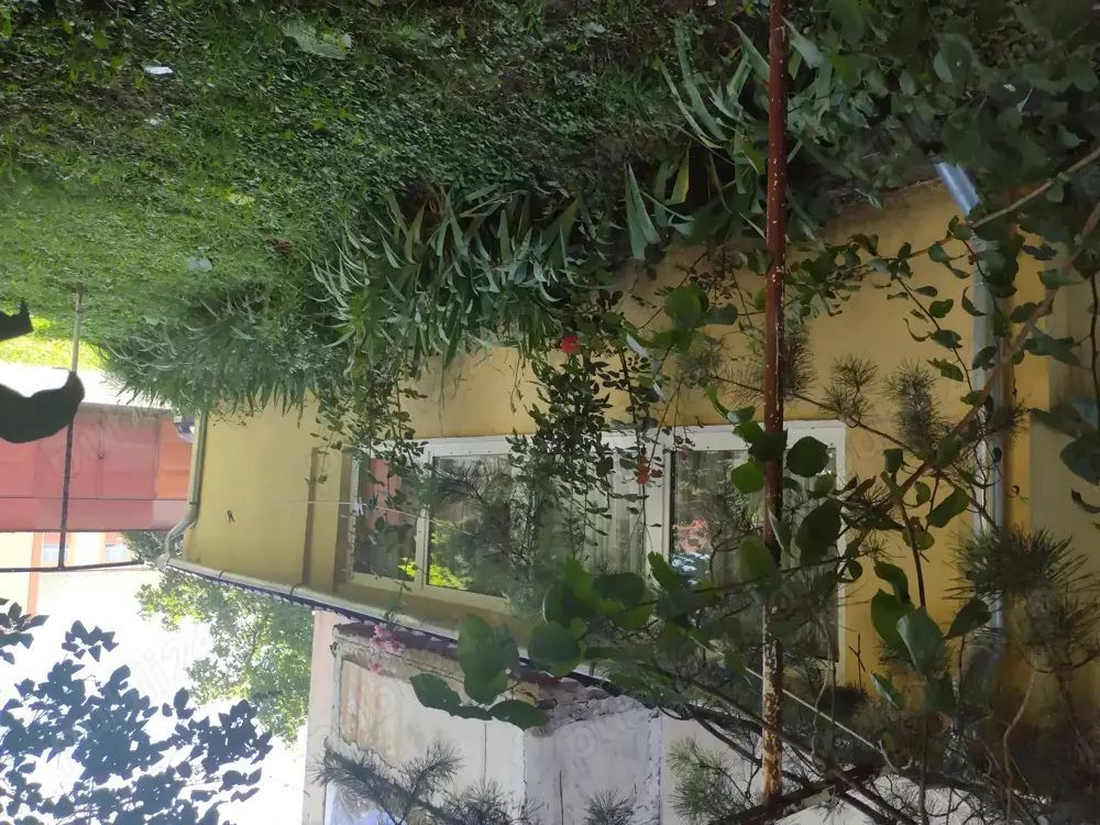 BRASADAS vinde ap cam - Poză 2