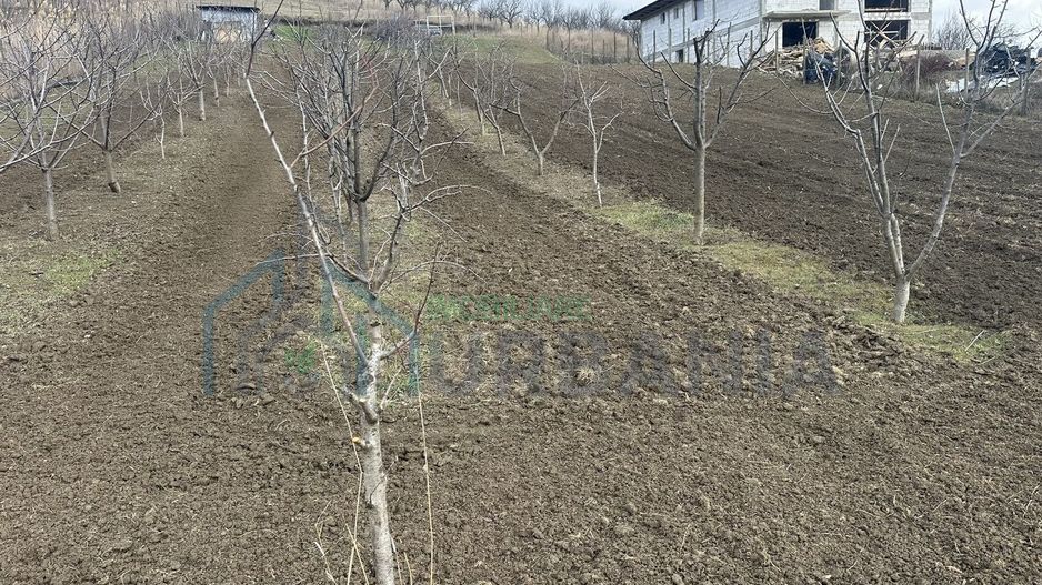 Teren intravilan 1724mp - Poză 1