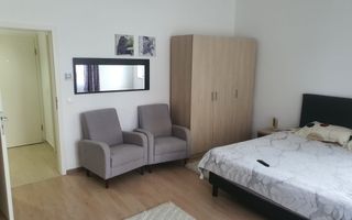 Apartament o cameră cu bucătărie separată - Doamna Stanca - Poză 2