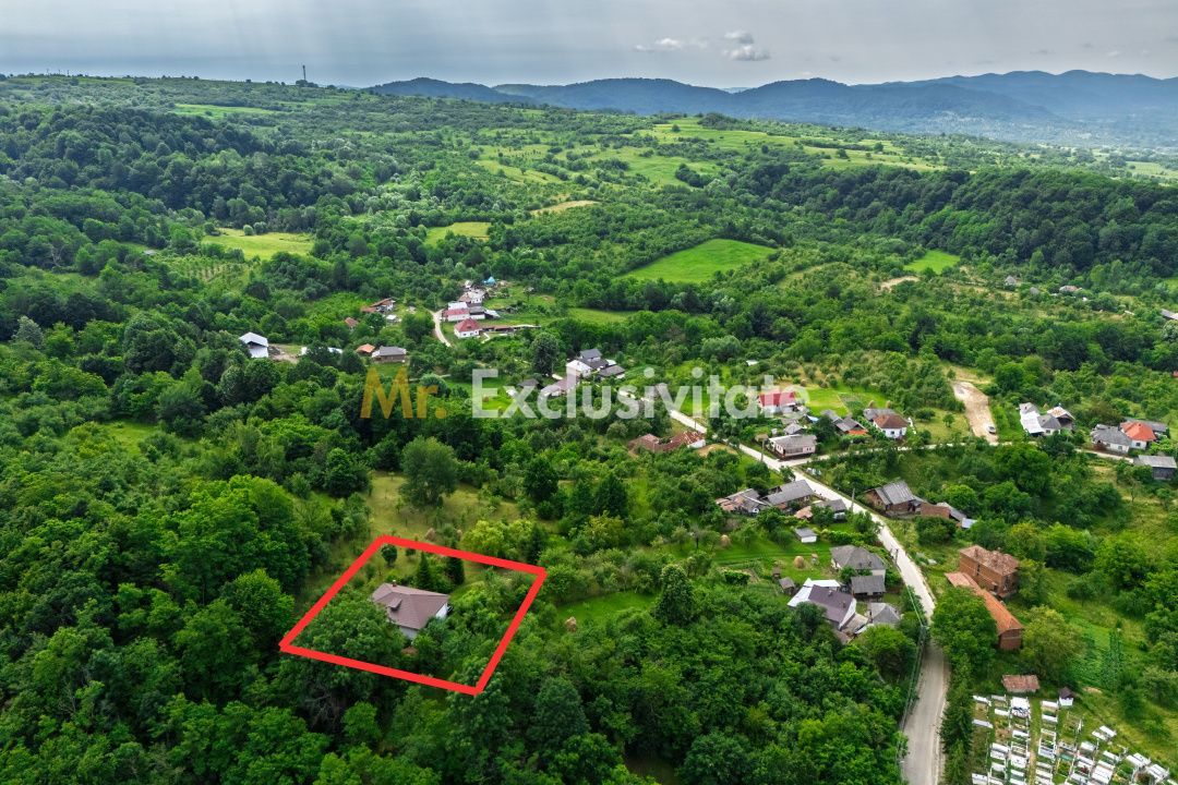 Casa moderna si casa bunicii + 6300 mp teren,Oaza autentica in Corbi Arges- - Poză 24