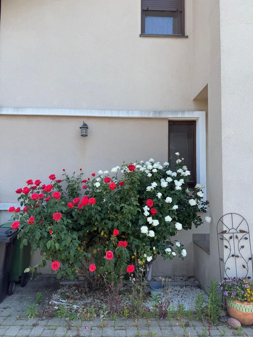 Duplex spatios - complet mobilat -  Dumbravita - Poză 10