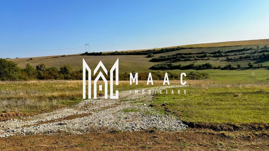 Teren | 651MP | Extravilan | Rusciori - Poză 4