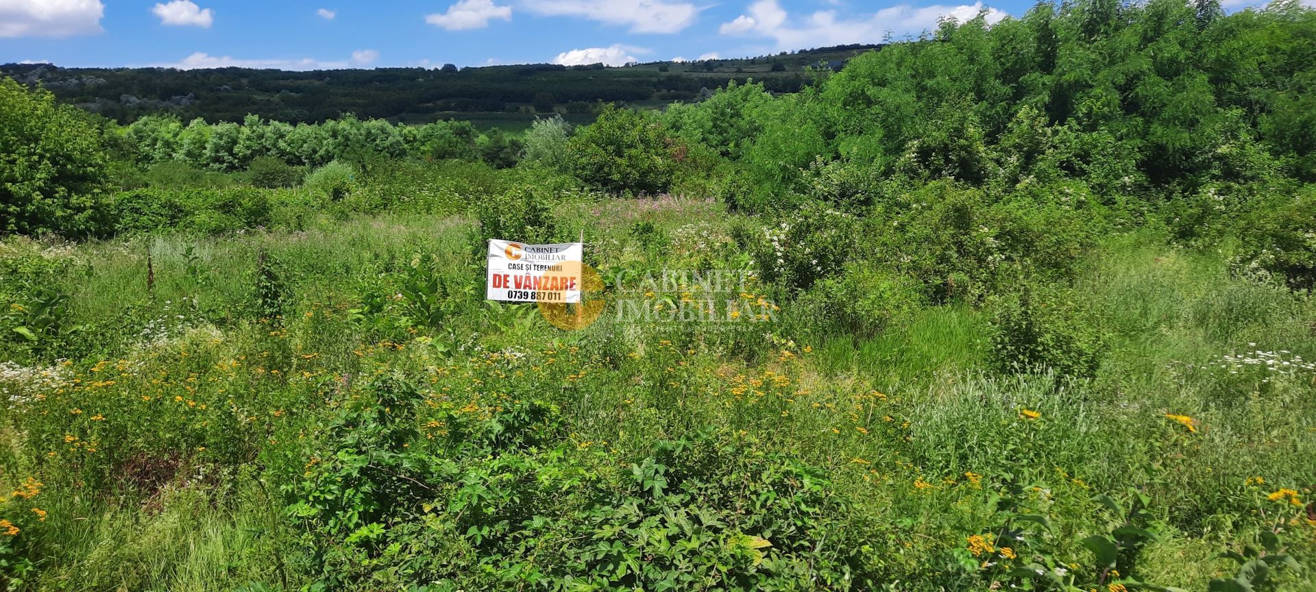 🌳 🌞🌿 TEREN INTRAVILAN OSOI 2800 mp - 49.999 Euro ! 🌳🌞🌿 - Poză 1