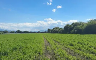 Teren intravilan 3h, Stupini -Str. Oitelor, asfalt si utilitati la 70 m - Poză 11