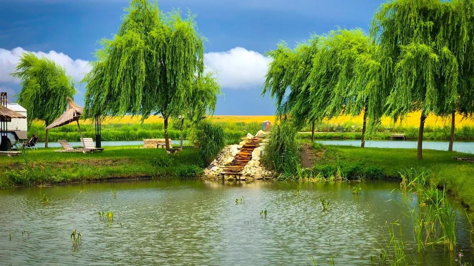 Pescărie cu restaurant de inchiriat - Poză 3