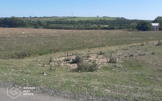 Terenuri 3699 mp, oras Lipova - Poză 1