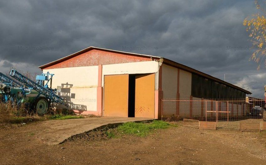Vanzare ferma agricola Negru Voda - Constanta cu 240 hectare teren si utilaje - Poză 15