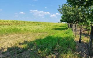 Teren intravilan de 1300 mp în sat Popricani, comuna Popricani, județul Iași - Poză 3