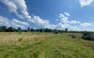 Teren de vanzare in  Tohanu Nou-Sohodol 6200 mp - Poză 9