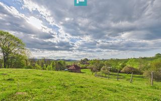 Casă cu teren de 17.681 mp, în loc. Hălmăgel, Arad - Poză 21