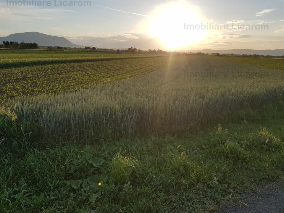 Teren Stupini Calea Feldioarei 4600 mp,22 euro/mp, front la asfalt - Poză 2