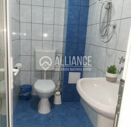 STADIONUL FARUL(COD03) - Vila cocheta si curte frumoasa ! - Poză 14