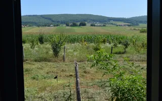 Casă 5 camere Siliștea Nouă/Suceava - Poză 20