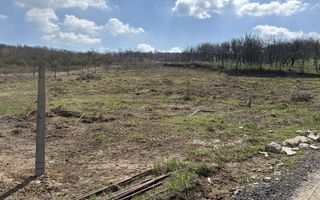Terenuri intravilan în satul Vladiceni, comuna Tomești - Poză 4