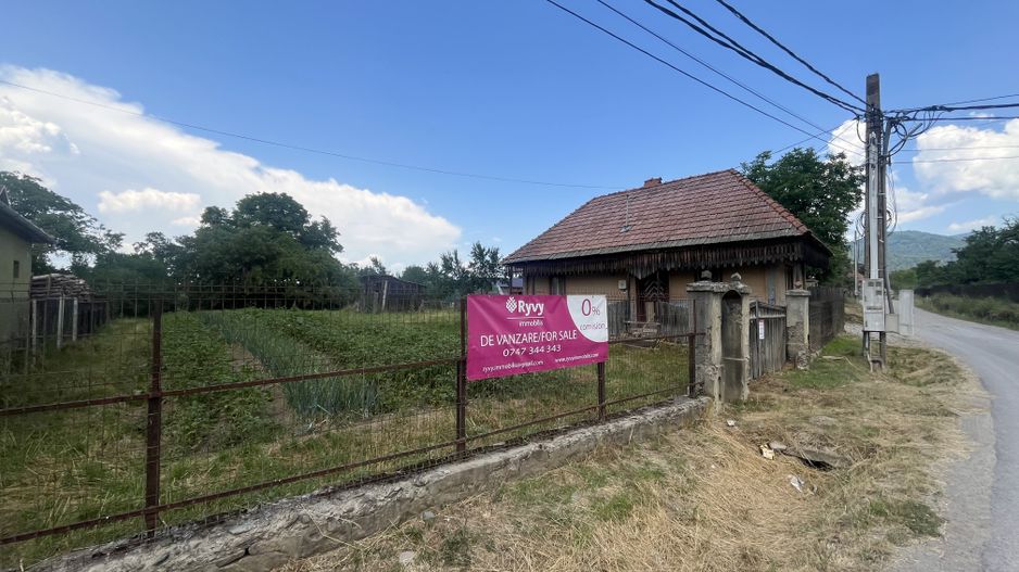 GRADINA BUNICII DE ODINIOARA,DE VANZARE -PAPAUTI,COVASNA. - Poză 4