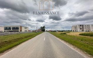 Mosnita Noua Teren PUZ Aprobat 13 Blocuri 20.162mp | Asfalt+Utilitati