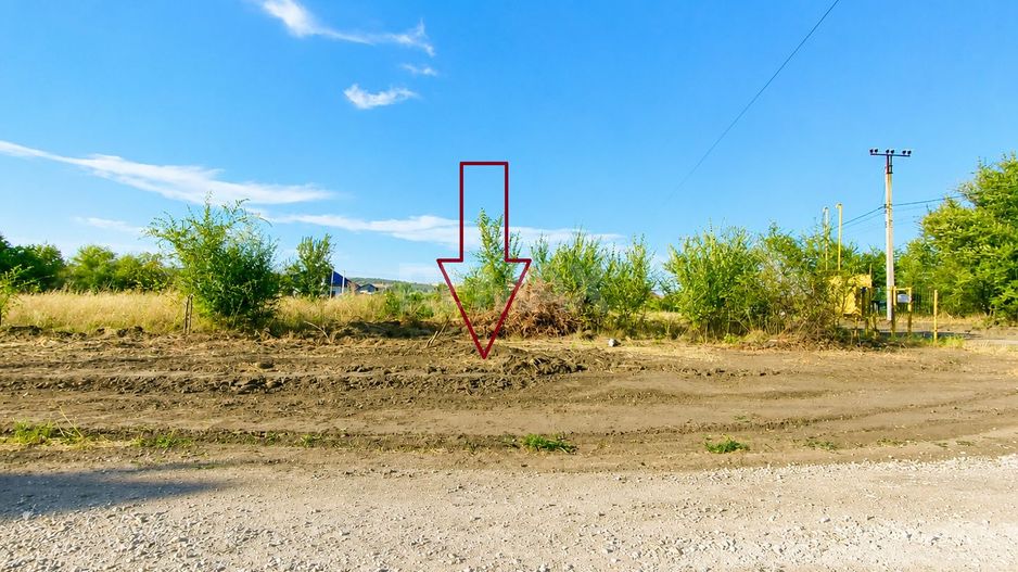 TEREN PENTRU CONSTRUCȚIE – 8 ARI | ȚÎNȚĂRENI, ANENII NOI - Poză 3