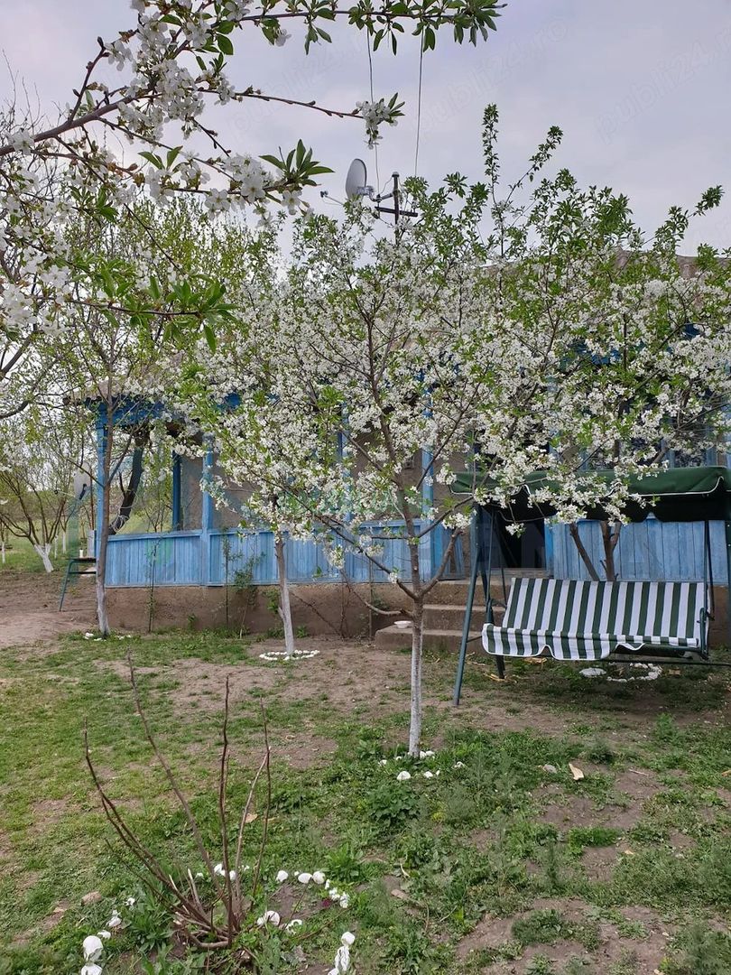 6.000 mp intravilan sat Avintu - Poză 1
