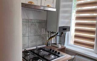 Apartament cu 2 camere, etaj 1, zona Lidl Nicolina, la o statie de Palas Mall - Poză 5