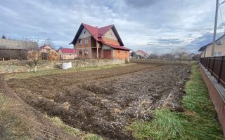 Casa la rosu | Fratautii Noi | 13 ARI - Poză 1