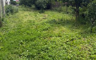 Casă individuală | 1.075 mp teren | 80 mp utili | Investiție | Zona Turnișor - Poză 4