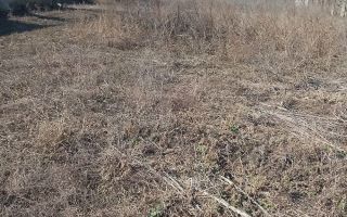 Casă bătrânească de vânzare în sat Alexandru cel Bun, comuna Vlădeni, județul Iași - Poză 3