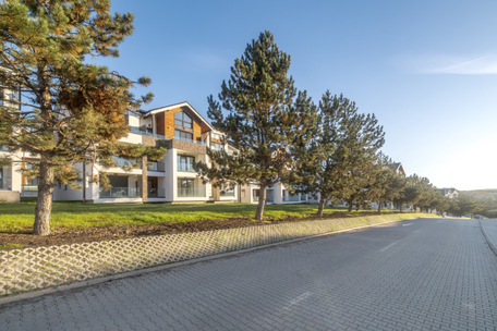 
    
    
    🚗 Drumuri asfaltate și parcări pentru toți locatarii
  
  
  