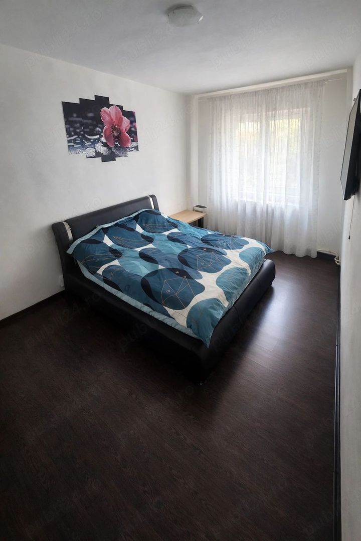 Apartament de vânzare 3 camere 57mpu mobilat parter Ampoi 3 Alba Iulia - Poză 3