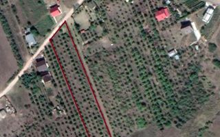 Teren intravilan 5.050 mp Tomesti–Chicerea | P+2E | casa sau parcelare - Poză 2