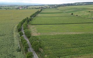 Teren de 4.400 mp Racova - Poză 7