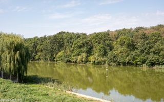 BRANESTI - HUNTER MANSION, VILA PREMIUM 600 MP, LOT 2200 MP, LA LAC! - Poză 3