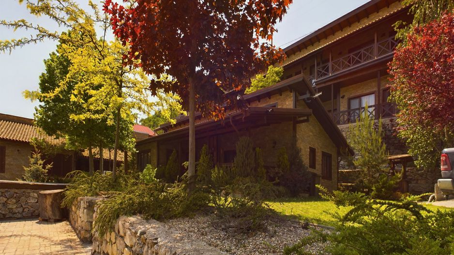 Pensiune de Lux pe Malul Dunării în Dubova - Poză 22