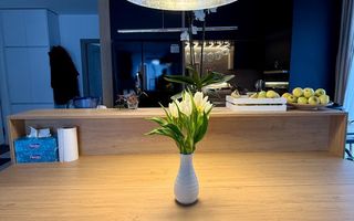 Vanzare 3 camere , Europa, 68 mp + 40 mp terasa - Poză 15