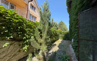 Casă de închiriat- zona Ștrand - Poză 46