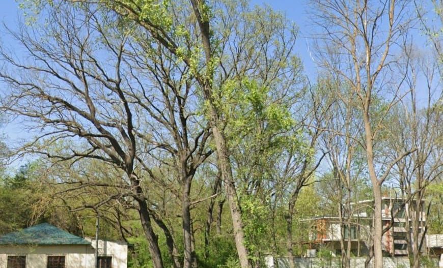 Teren intravilan 1.014 mp | Valu lui Traian | P+4E | Forest M - Poză 2